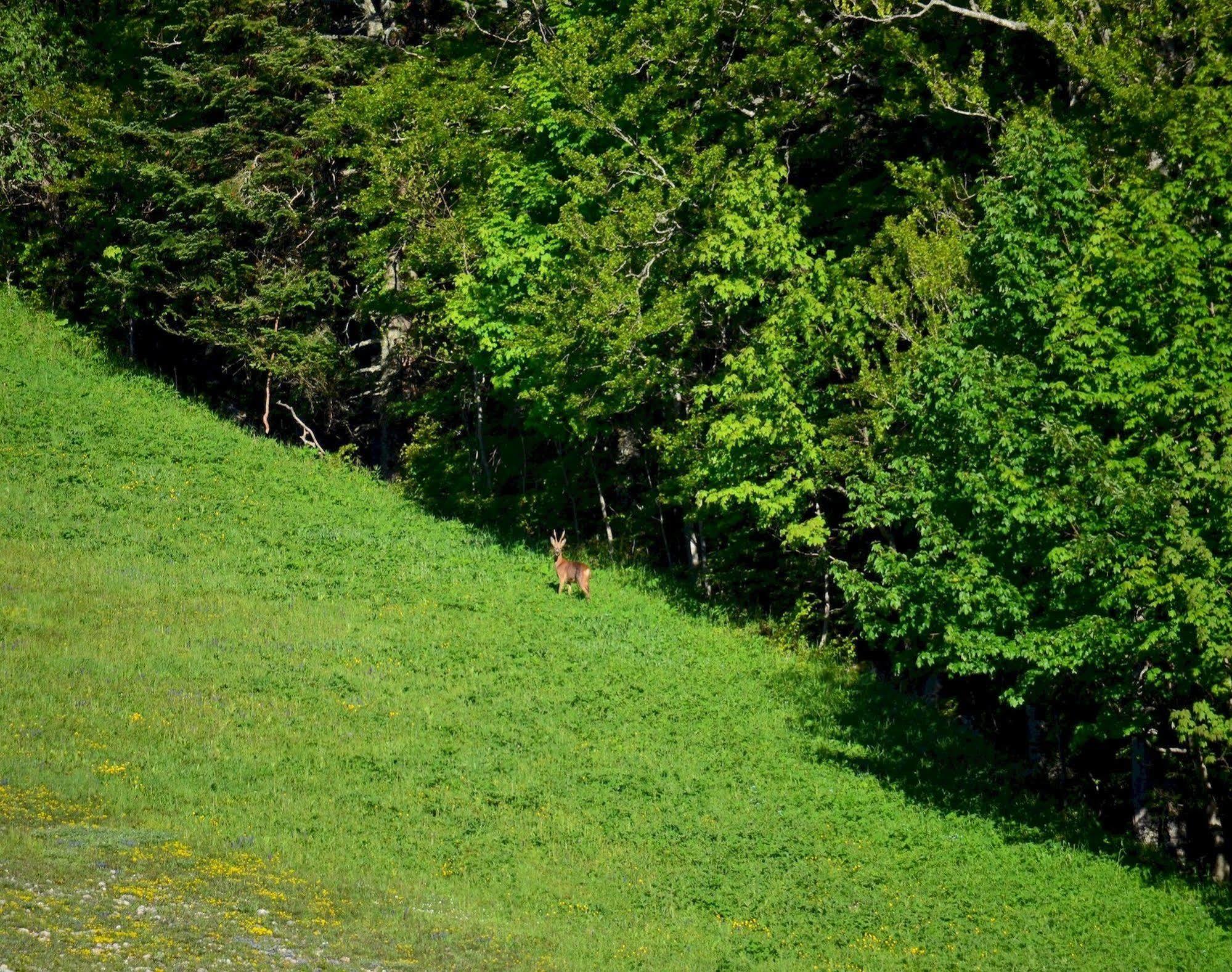 Val Lachard Villard-de-Lans Luaran gambar